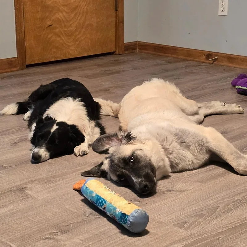 Momma Fortune thumbnail 2