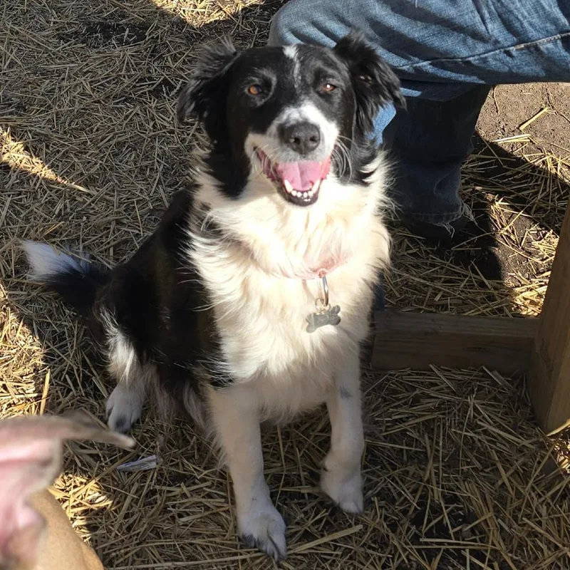 Momma Fortune thumbnail 3