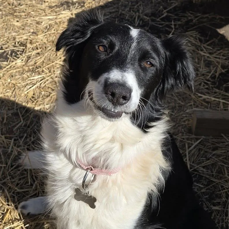 Momma Fortune thumbnail 4