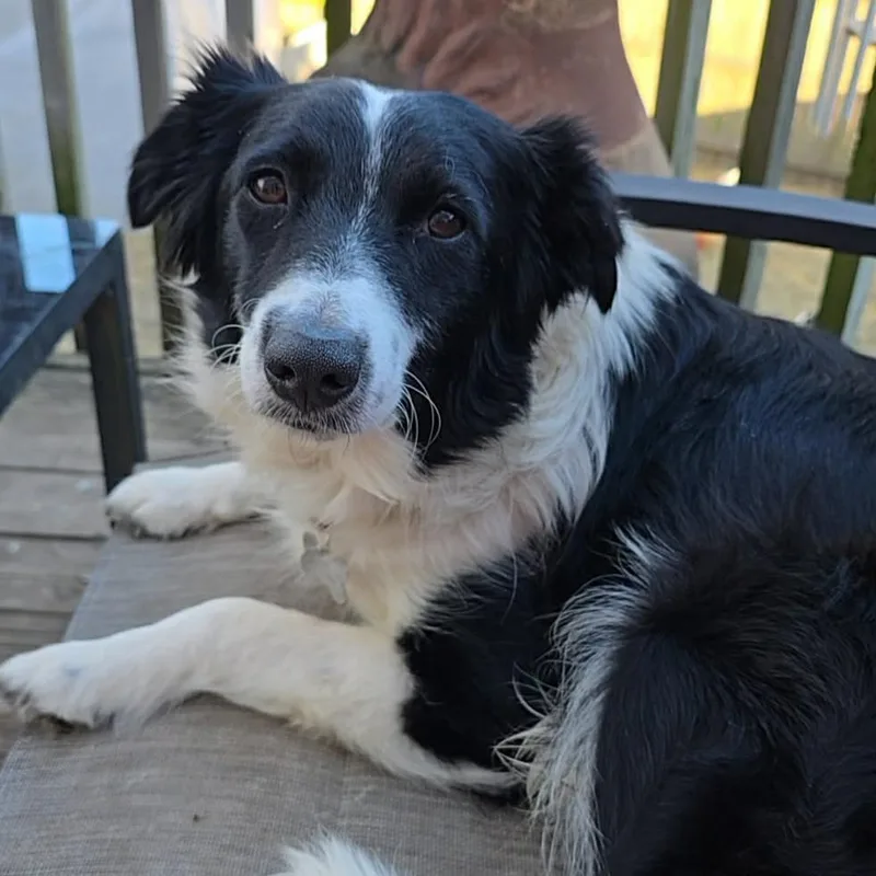 Momma Fortune thumbnail 5