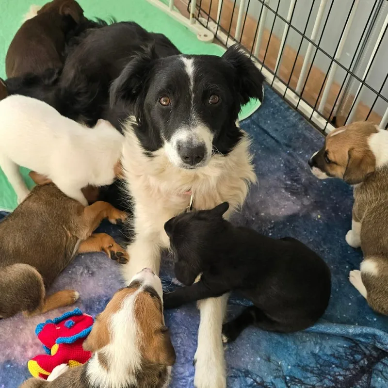 Momma Fortune thumbnail 6