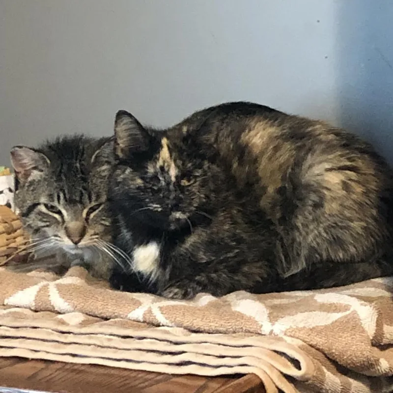 Kirby & Katie thumbnail 2