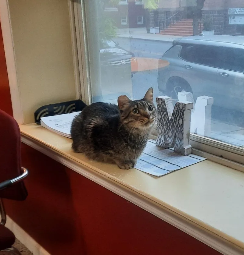 Peppercorn thumbnail 3