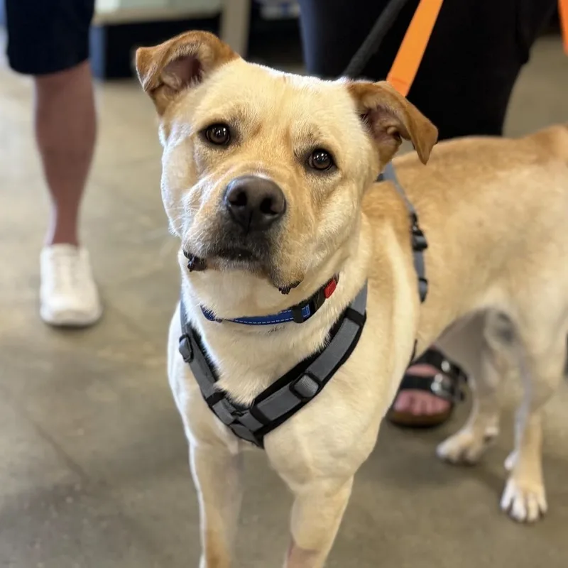 Teo thumbnail 5