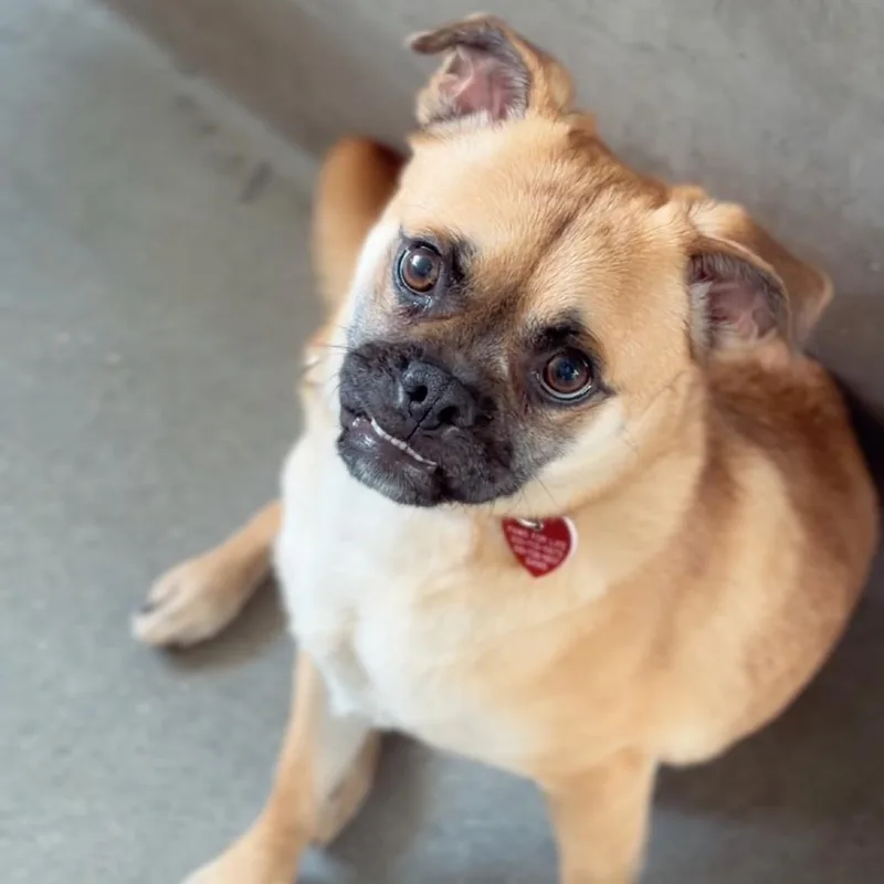 Otis thumbnail 2