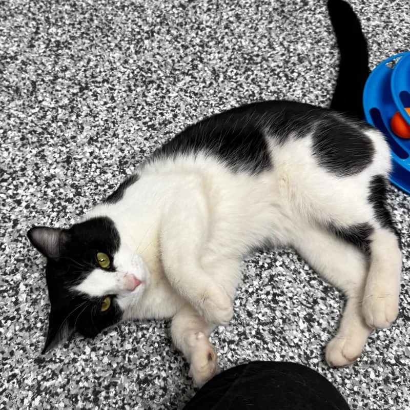 Bob Brenard thumbnail 2