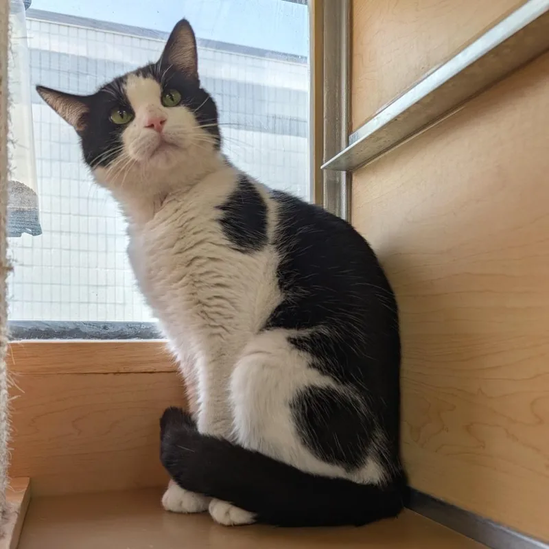 Bob Brenard thumbnail 3