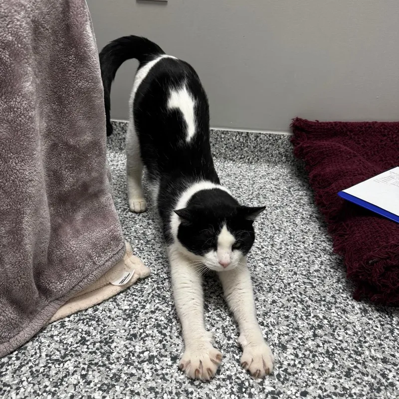 Bob Brenard thumbnail 4