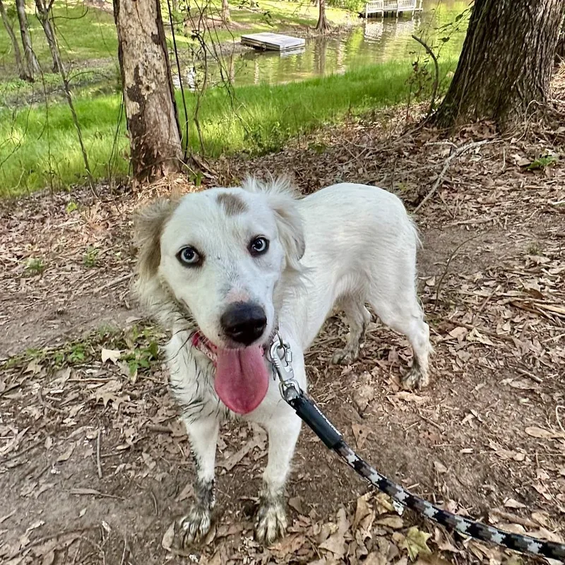 Skye Female S thumbnail 2