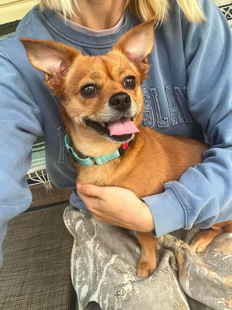 Cocoa