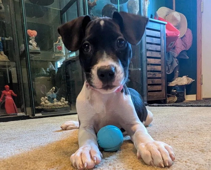 Maggie