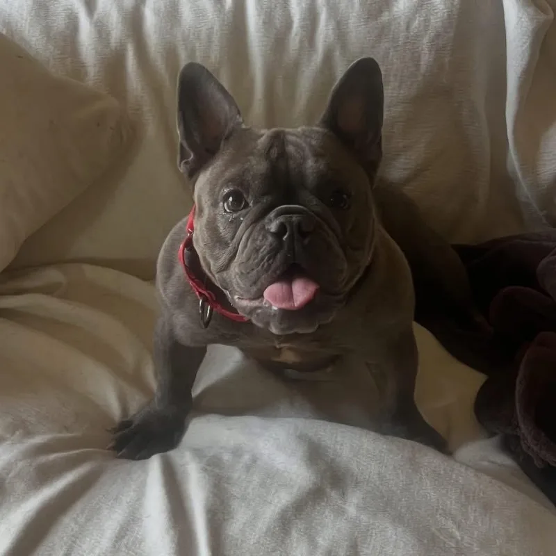 Winnie thumbnail 3