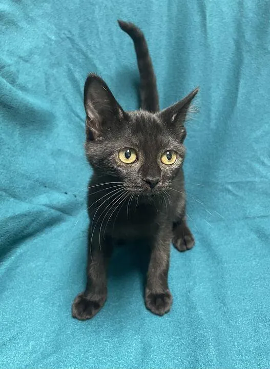 Wednesday thumbnail 6