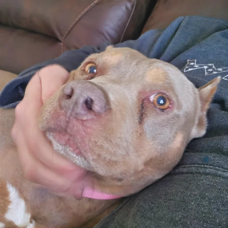 Clarice thumbnail 4