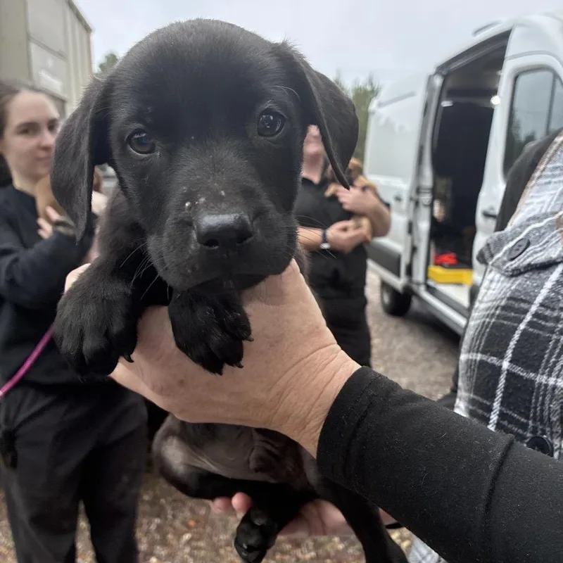 Ct Monday thumbnail 4