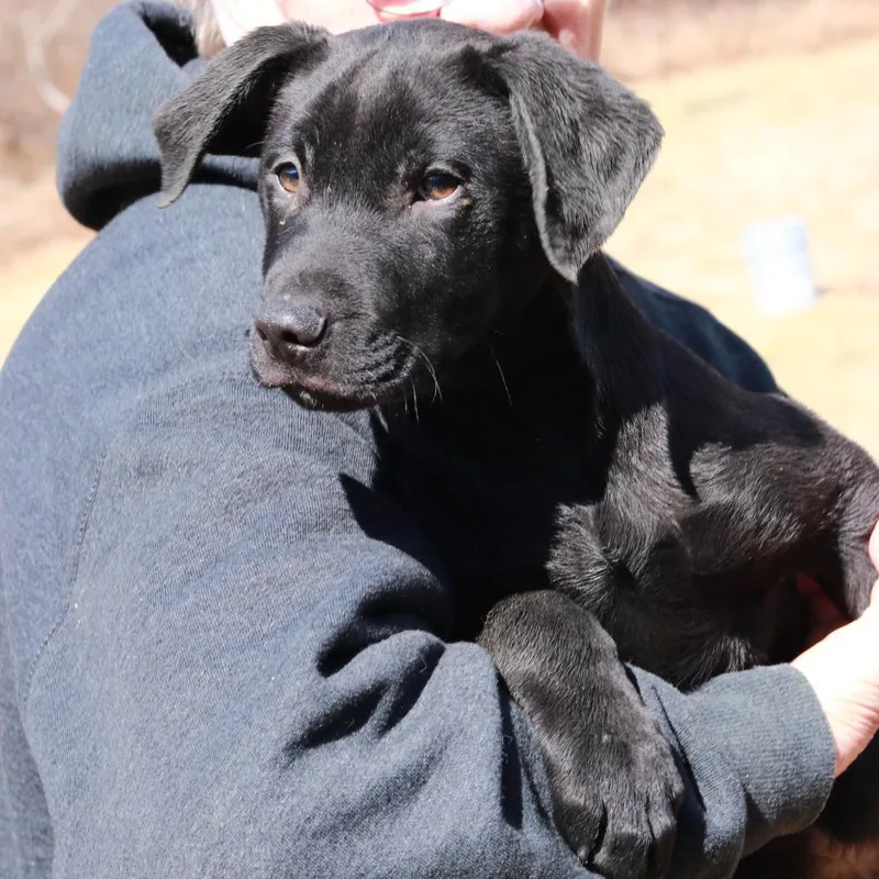 Ct Monday thumbnail 6