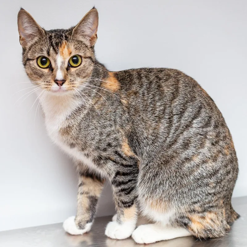 Sasha Fierce thumbnail 2