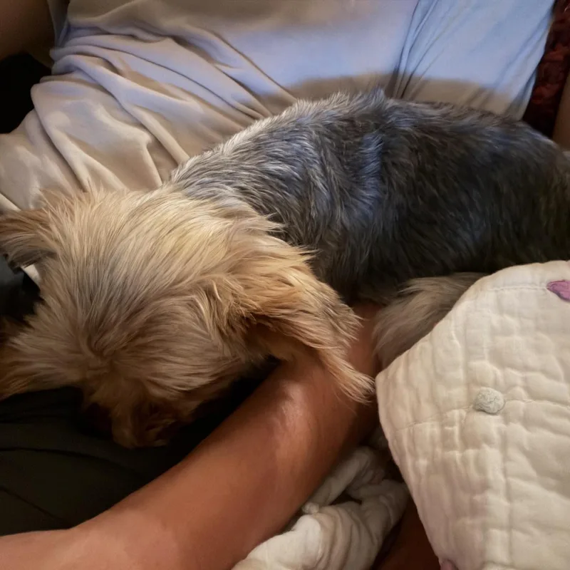 Hank thumbnail 3