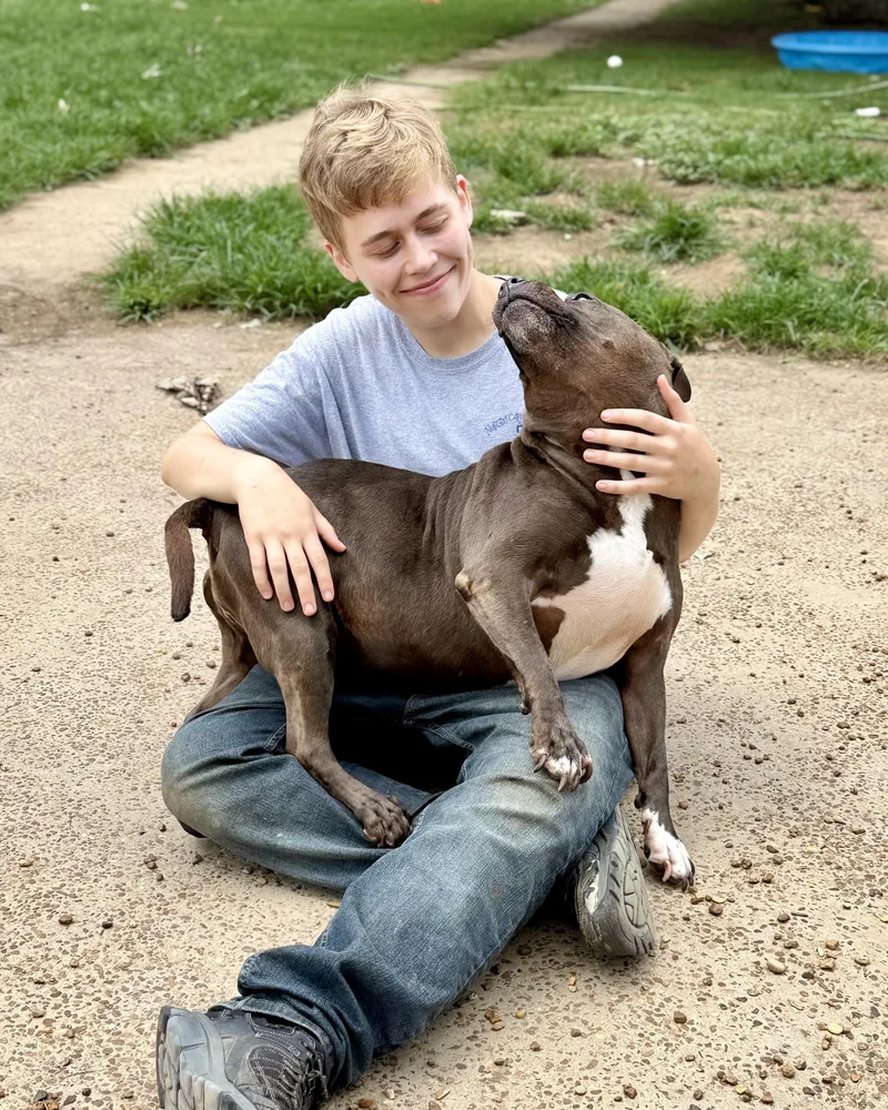 Dutchess thumbnail 4