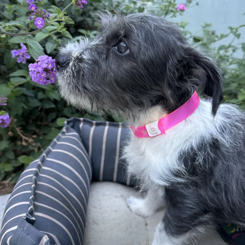 Baby Tiana thumbnail 2