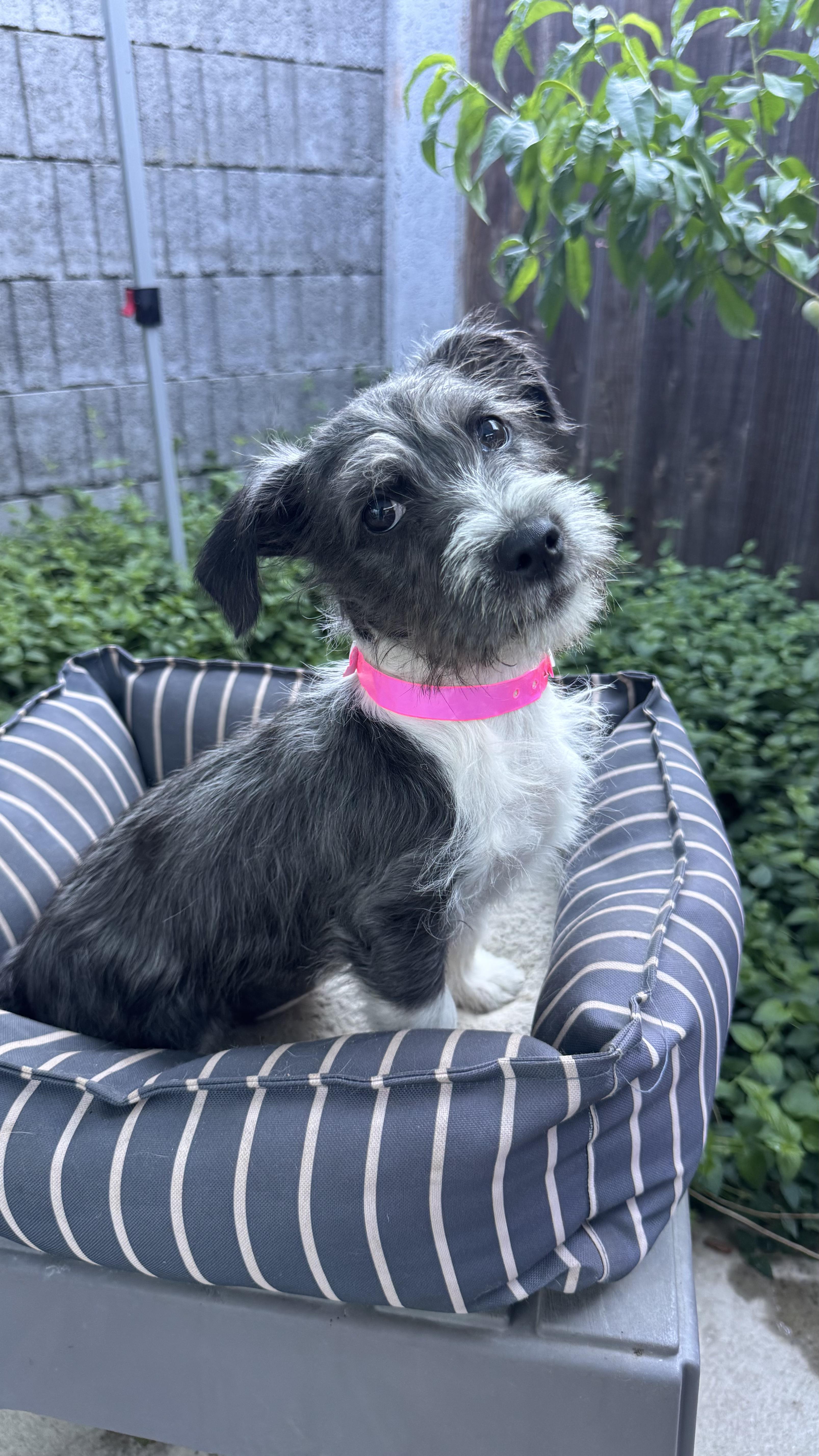 Baby Tiana thumbnail 3