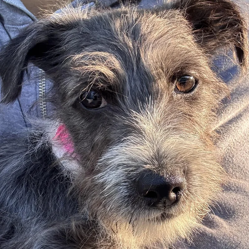 Baby Tiana thumbnail 4