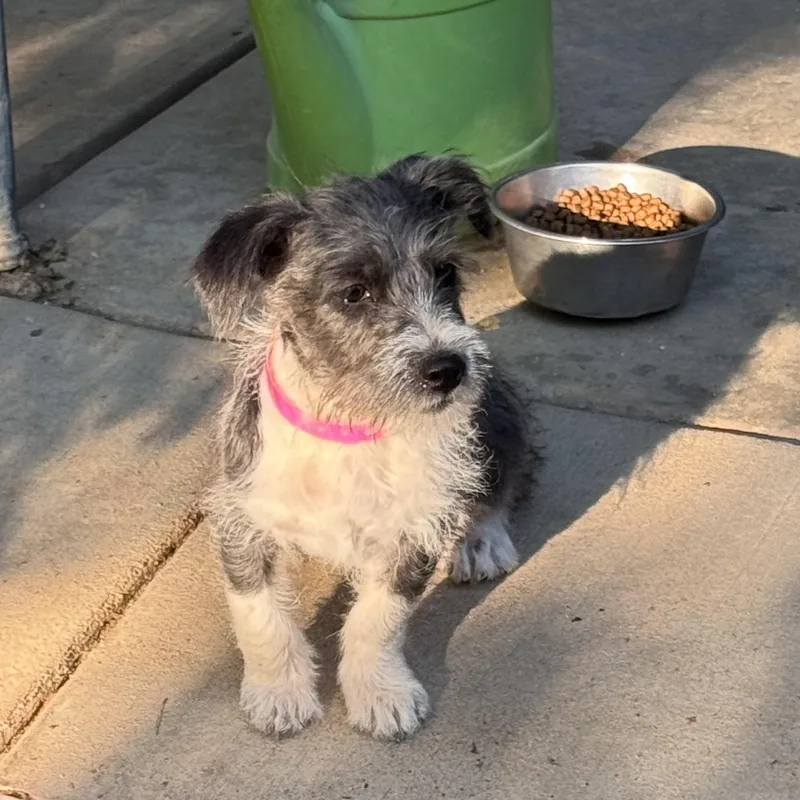 Baby Tiana thumbnail 5