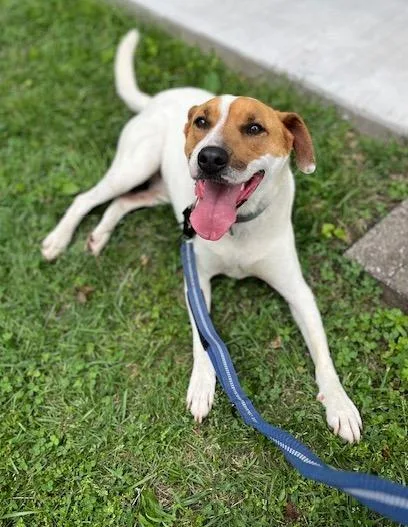 Desicourtesy Listing