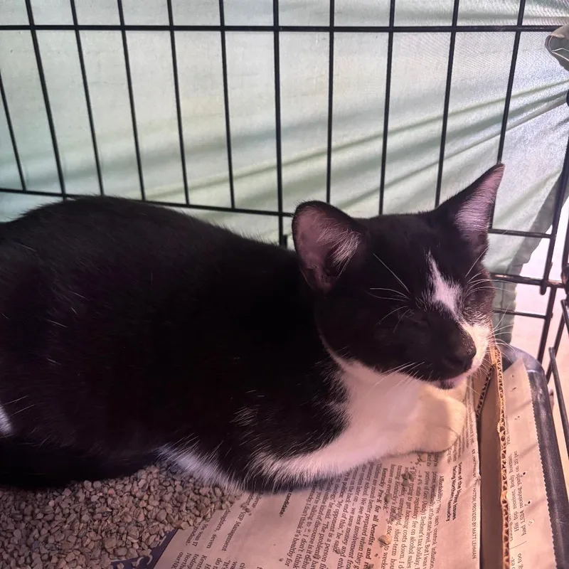 Tamara thumbnail 2