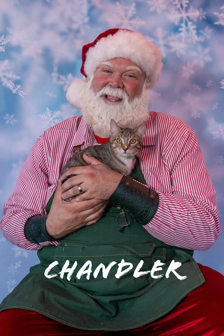 Chandler thumbnail 3