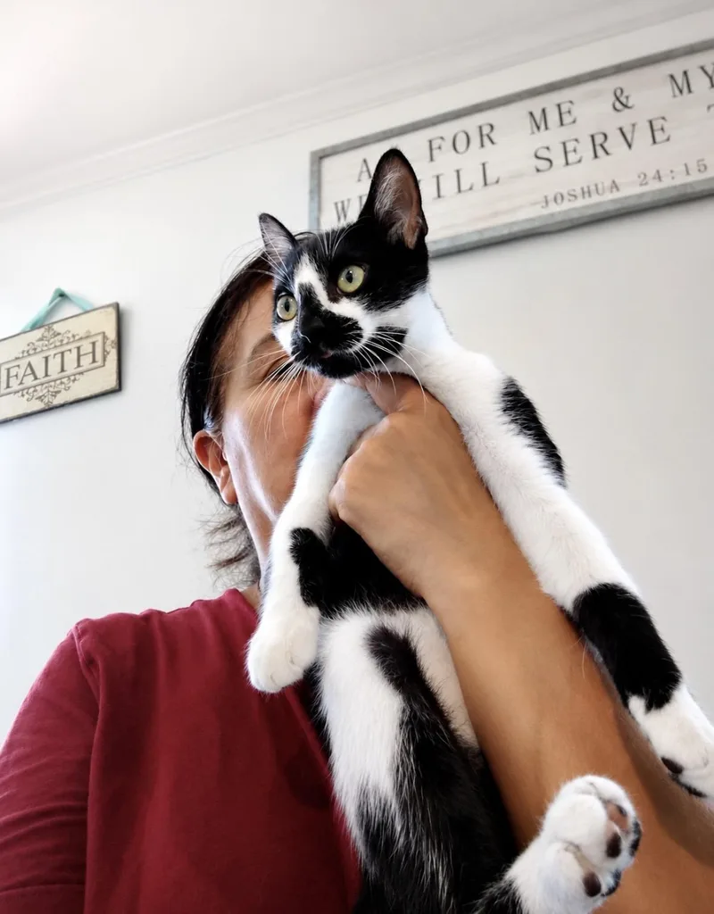 Rocco thumbnail 3