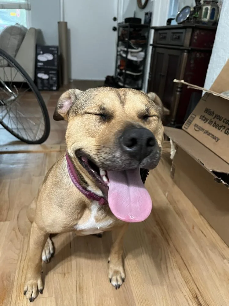 Tallulah thumbnail 3