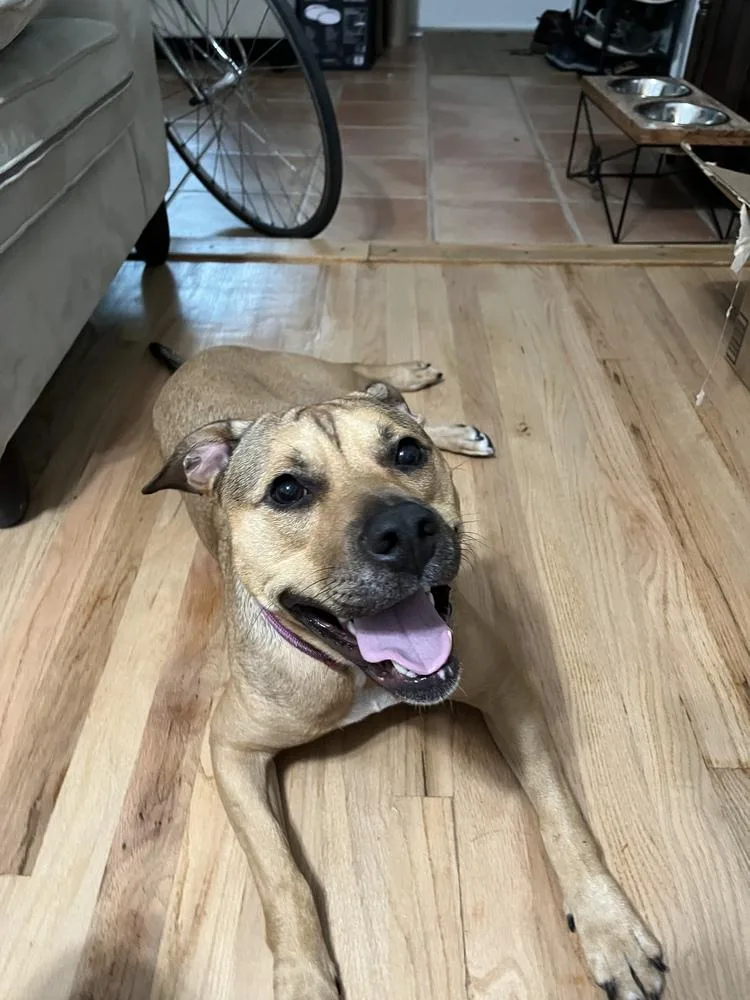 Tallulah thumbnail 5