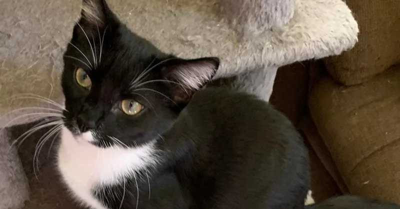 Callie thumbnail 3