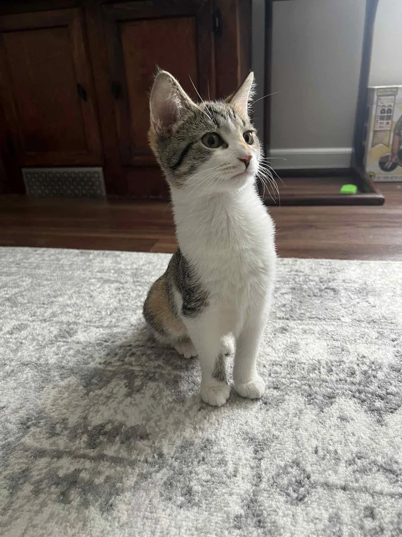 Elaine & Kramer  thumbnail 2