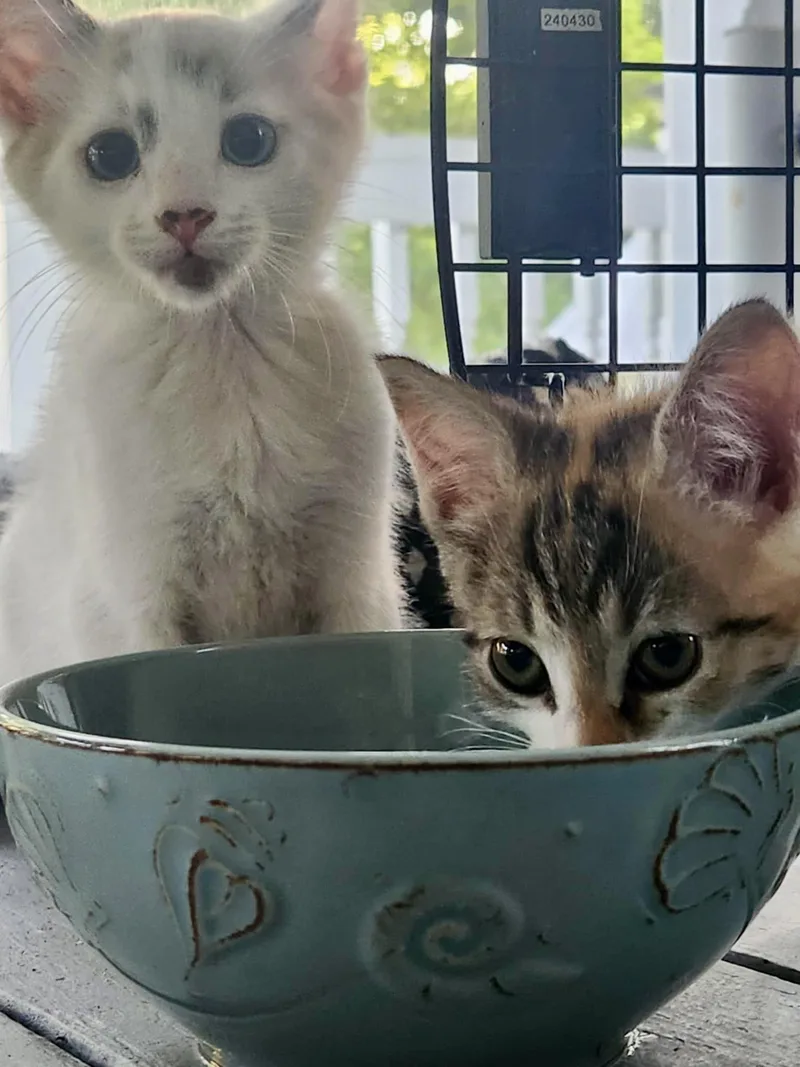 Elaine & Kramer  thumbnail 3