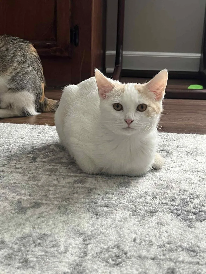 Elaine & Kramer  thumbnail 5