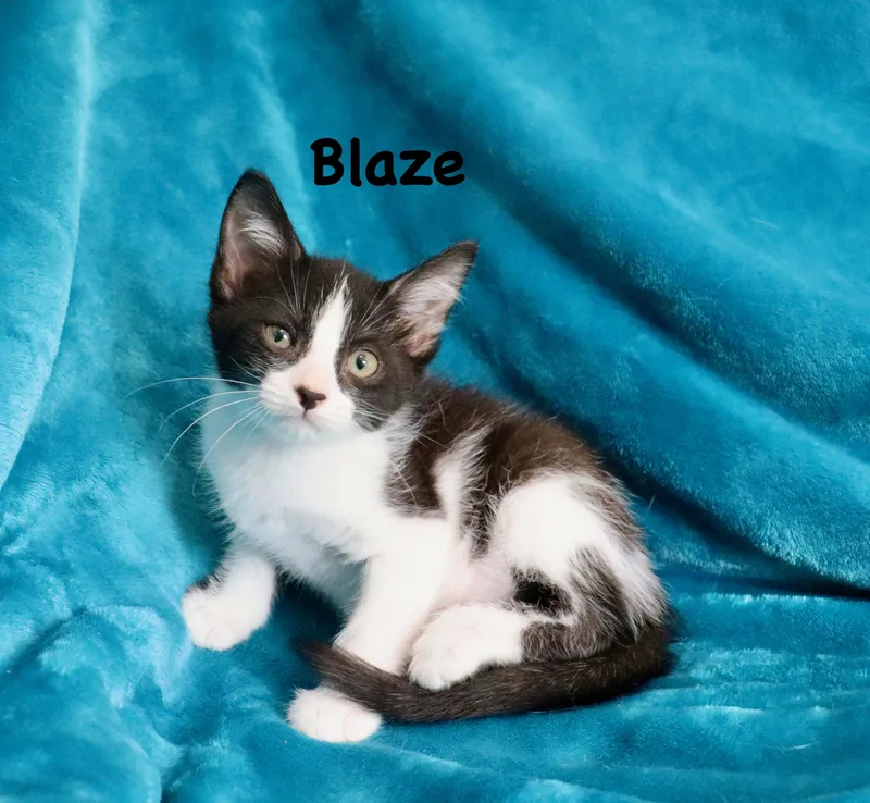 Blaze