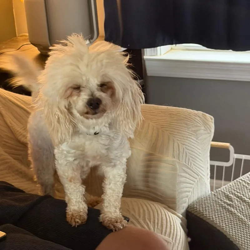 Chloe thumbnail 2