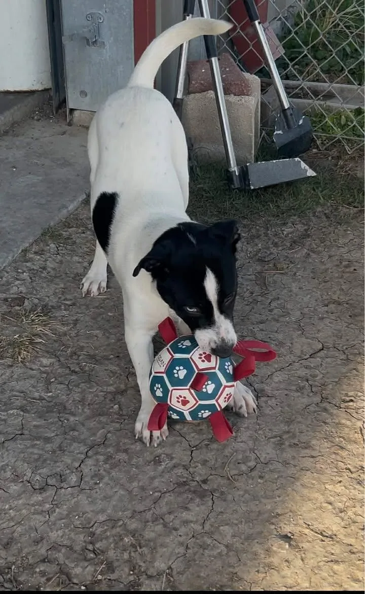 Betty Davis thumbnail 2