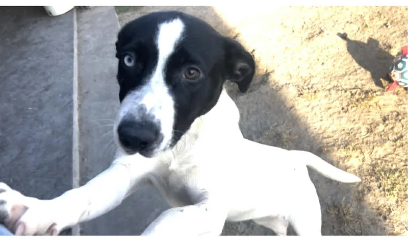 Betty Davis thumbnail 4