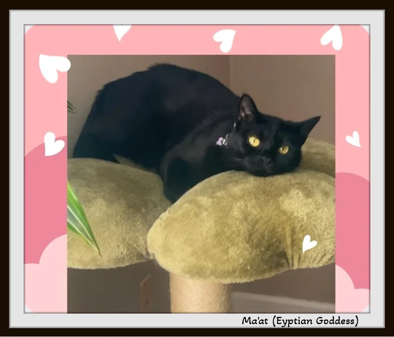 Ma'at — named for thumbnail 2