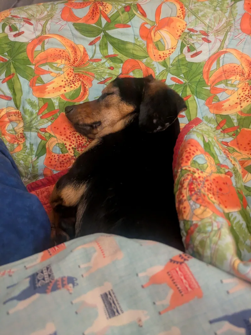 Freddie thumbnail 5