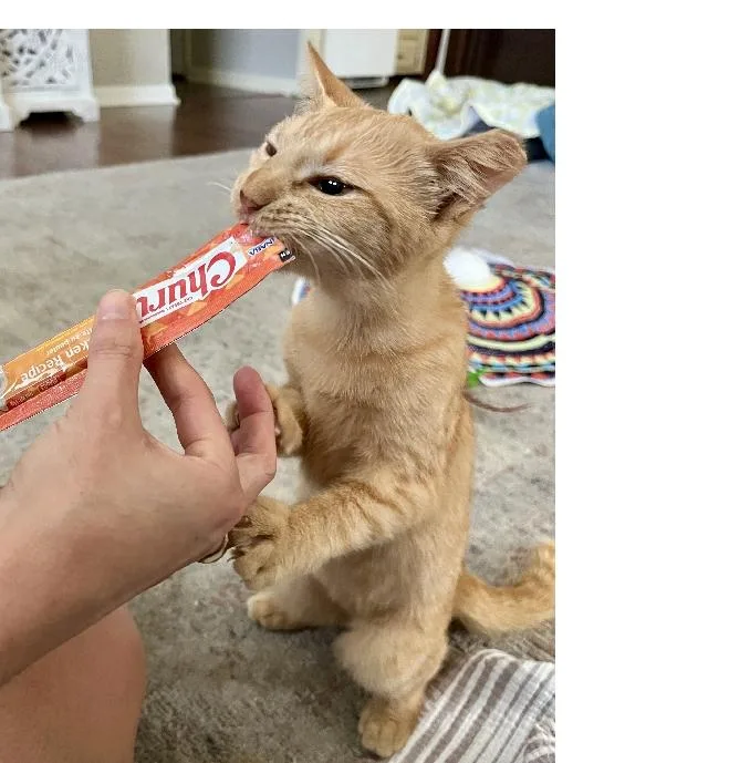 Baby Willis thumbnail 3