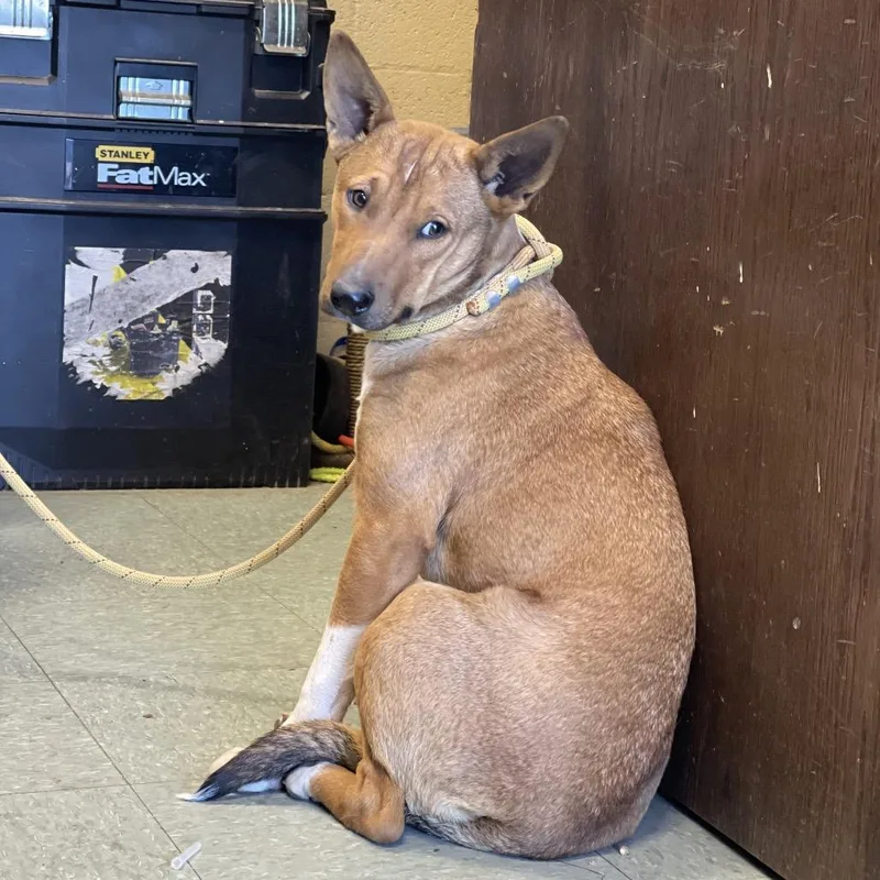 Aubreigh thumbnail 2