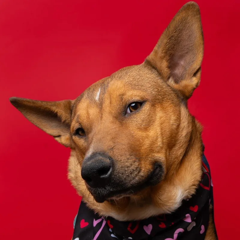 Aubreigh thumbnail 3