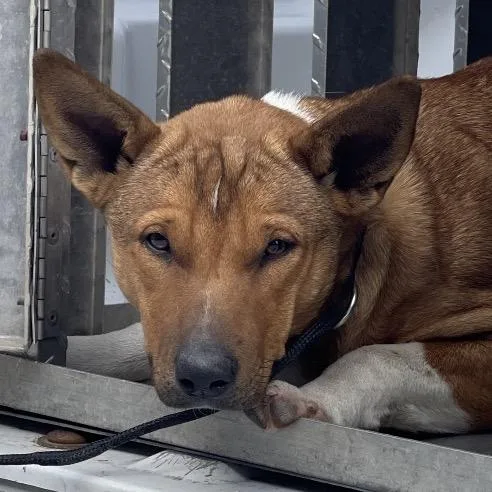 Aubreigh thumbnail 4