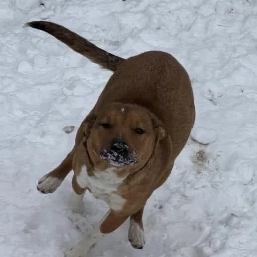 Aubreigh thumbnail 5