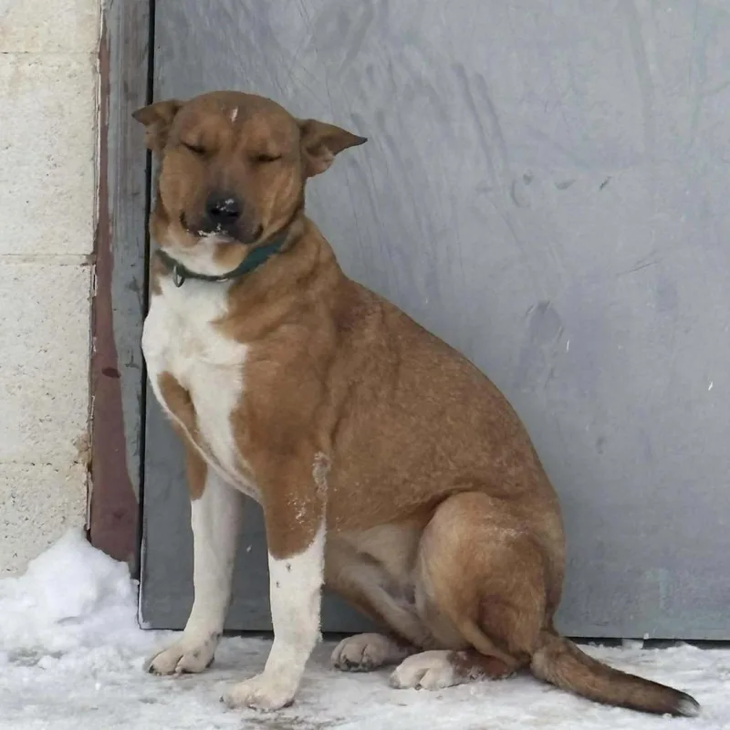 Aubreigh thumbnail 6