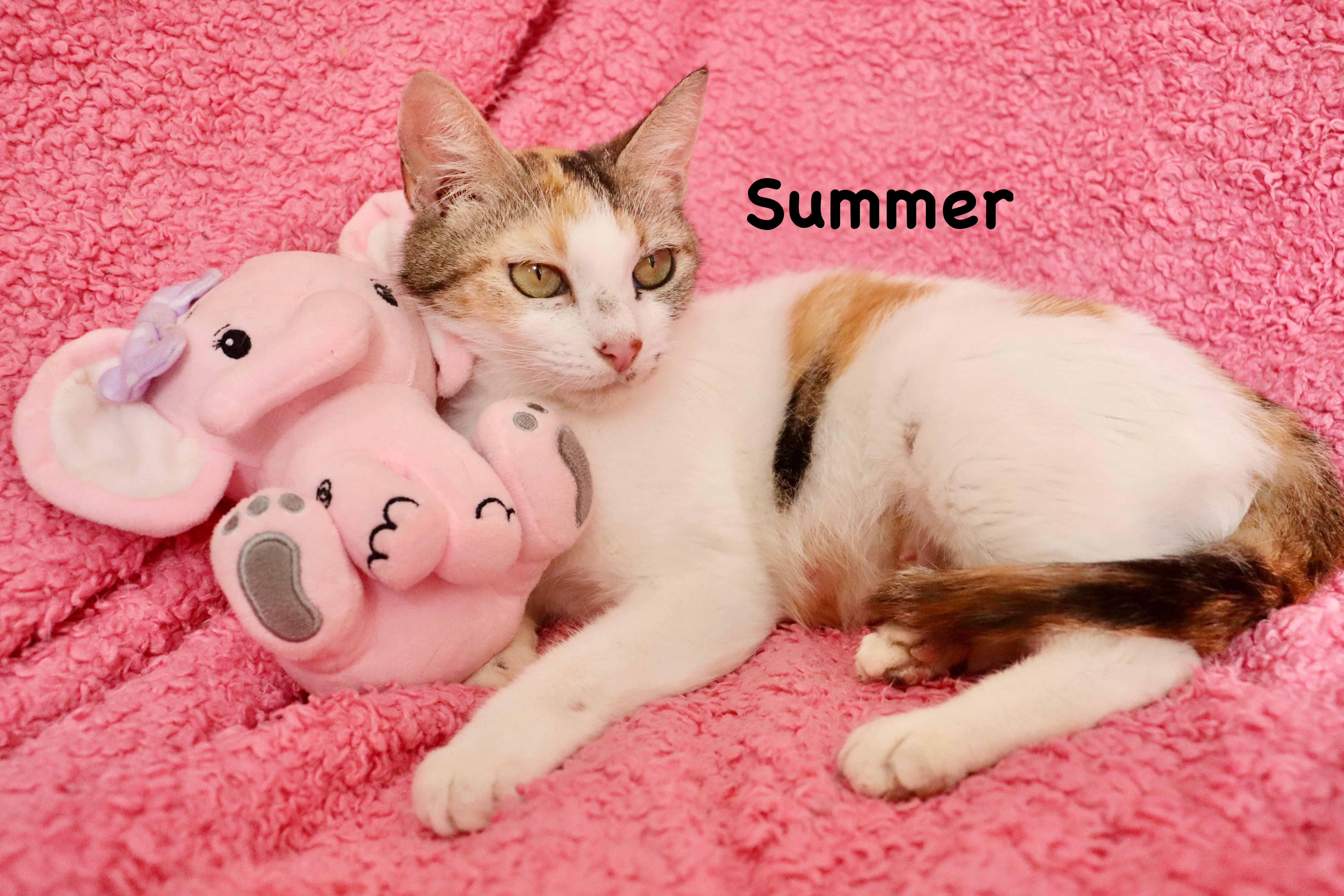Summer thumbnail 2
